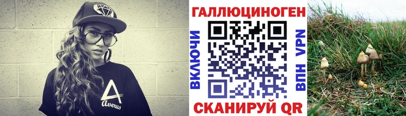 как найти наркотики  Томари  Галлюциногенные грибы мухоморы 